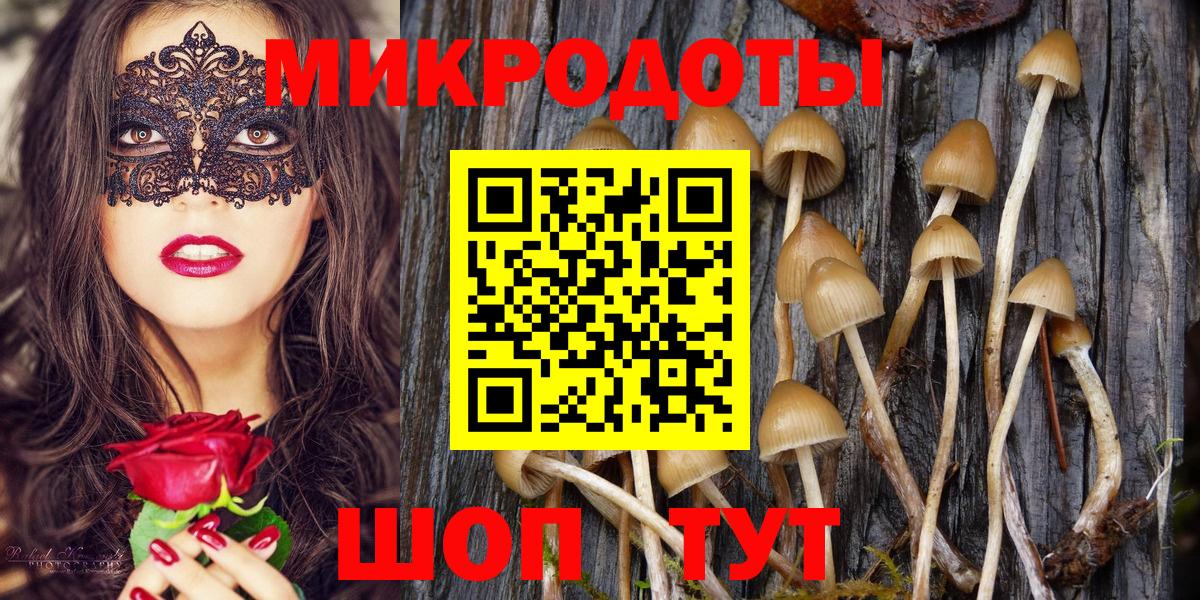 Галлюциногенные грибы GOLDEN TEACHER Тайшет