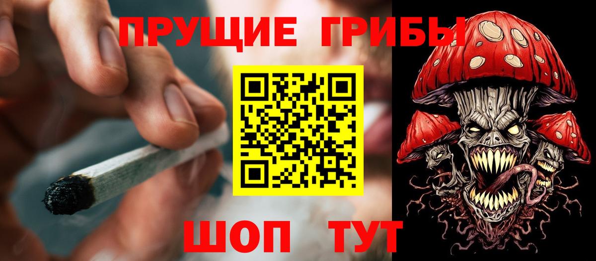 Тайшет  Галлюциногенные грибы Psilocybe  продажа наркотиков  Вход с VPN 